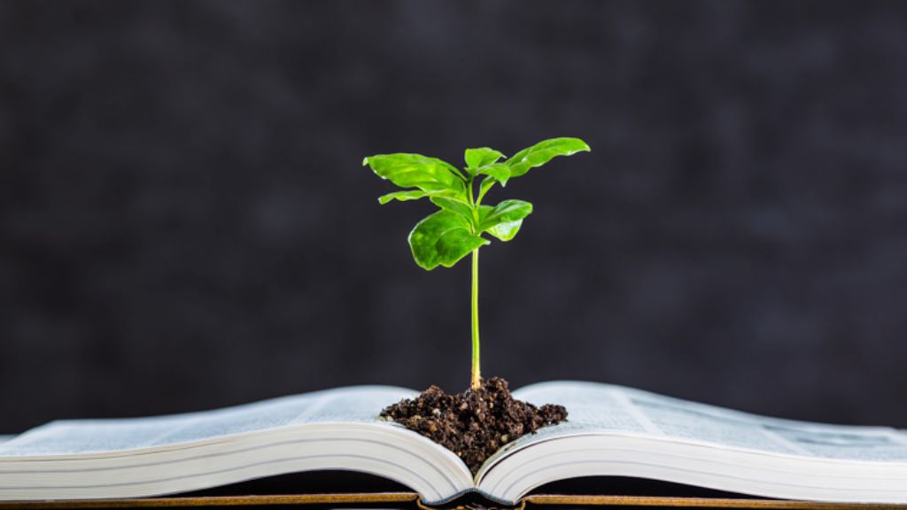 Climate Change Education