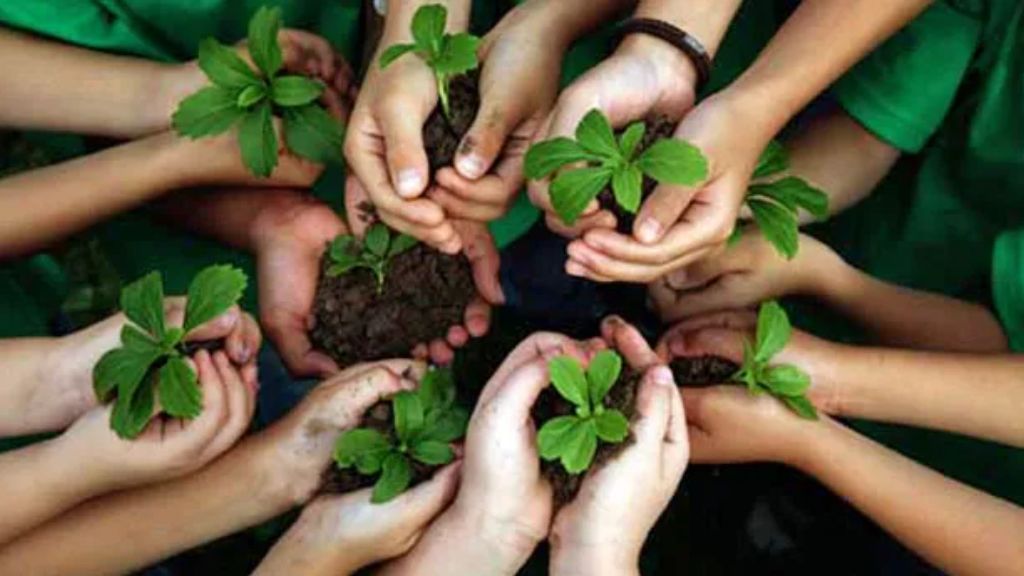 Environmental Awareness in Schools