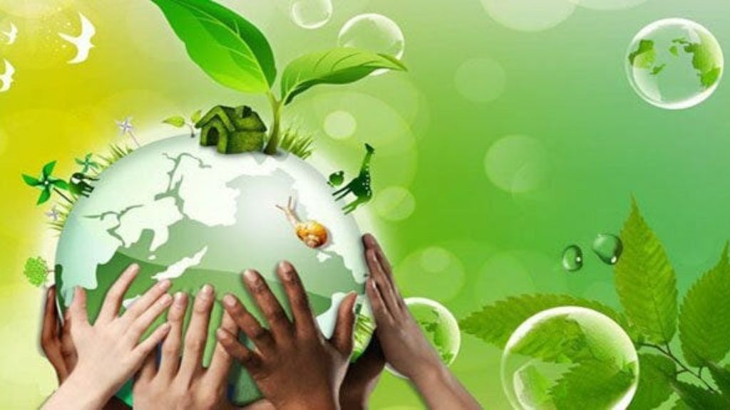 Environmental Education